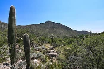 Marana Home for Sale in Canyon Pass III, 4155 W Cayton Mountain Drive