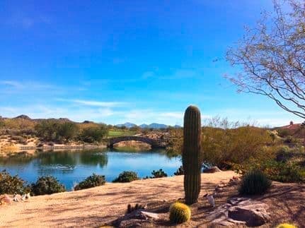 Dos Lagos Neighborhood on the Gallery Golf Club in Dove Mountain Marana AZ