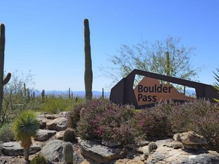 Dove Mountain New Homes For Sale in Dove Mountain